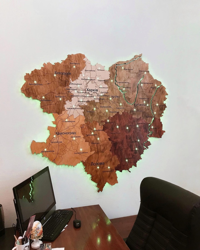 Дерев’яна Карта Харківської області 150x145 см 110020 фото