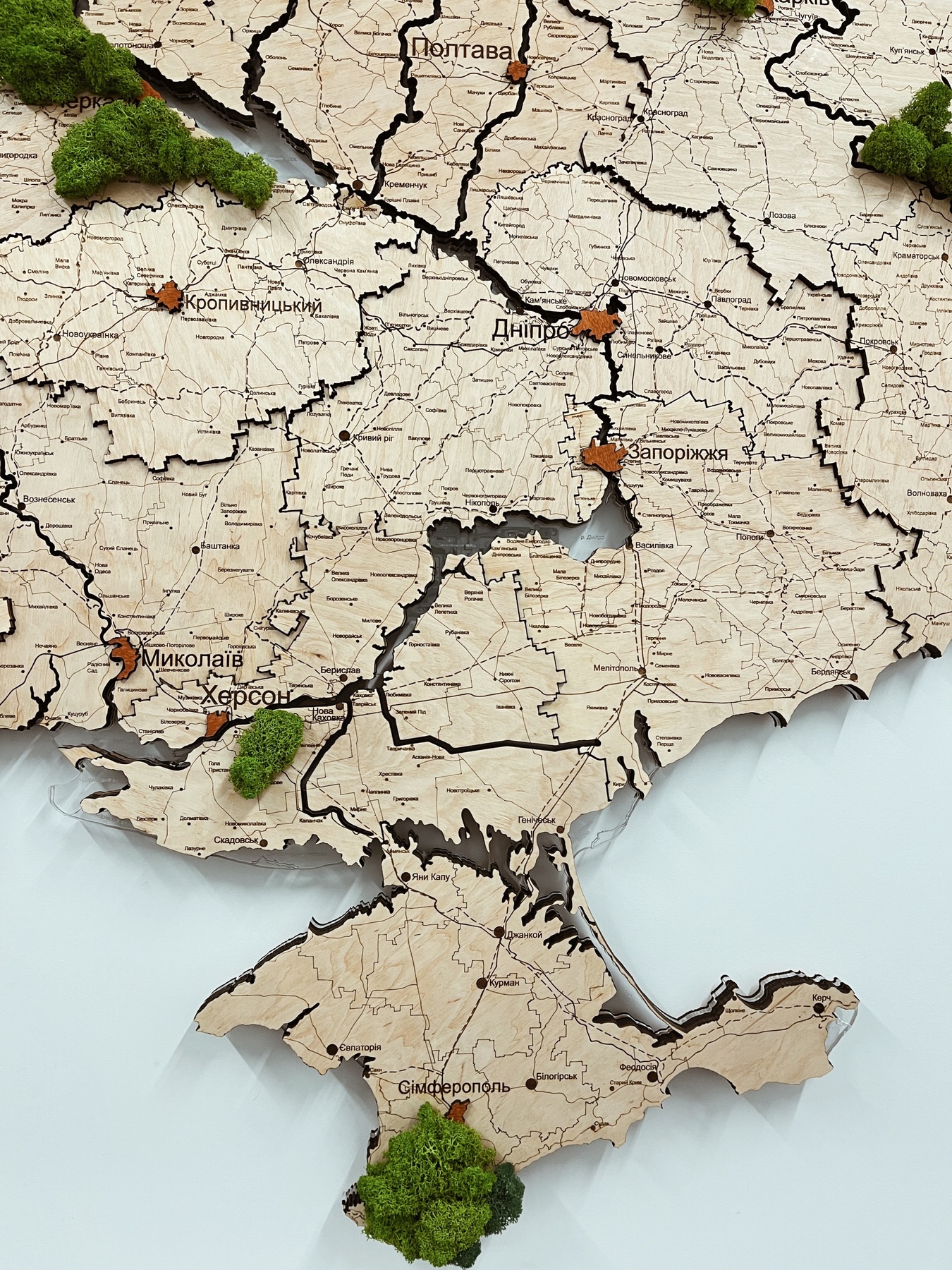 Дерев'яна Карта Ліси України "L+" 200 x 135 см 110011-1 фото