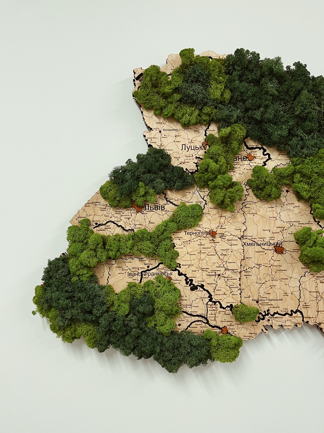Дерев'яна Карта Ліси України "L+" 200 x 135 см 110011-1 фото