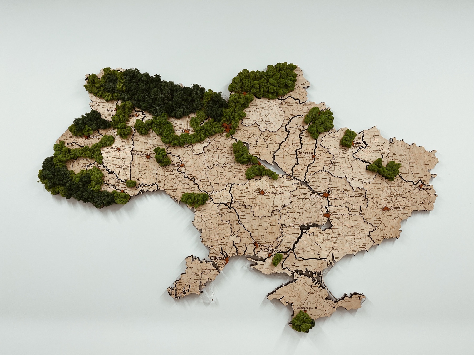 Wooden Map of the Forests of Ukraine 'L+' 200 x 135 cm