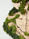 Дерев'яна Карта Ліси України "L+" 200 x 135 см 110011-1 фото 15