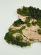 Дерев'яна Карта Ліси України "L+" 200 x 135 см 110011-1 фото 14